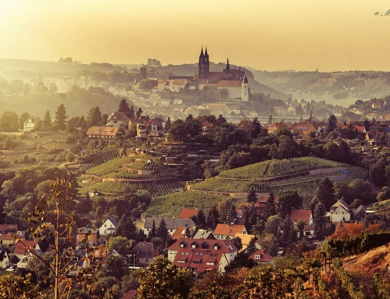 Meißen Albrechtsburg Juchhöh (MATE Theme für Contao)